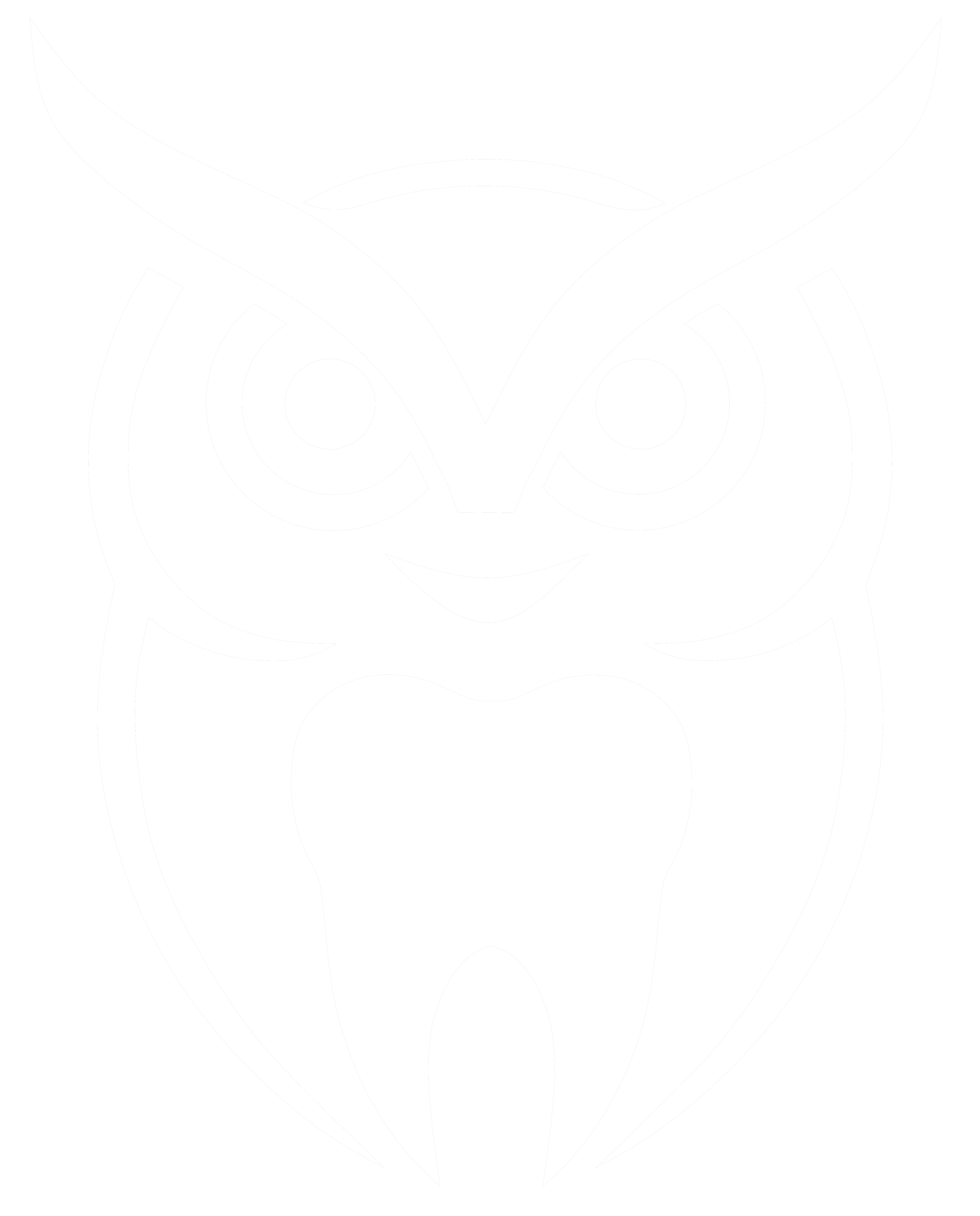 Silver Owl Logo