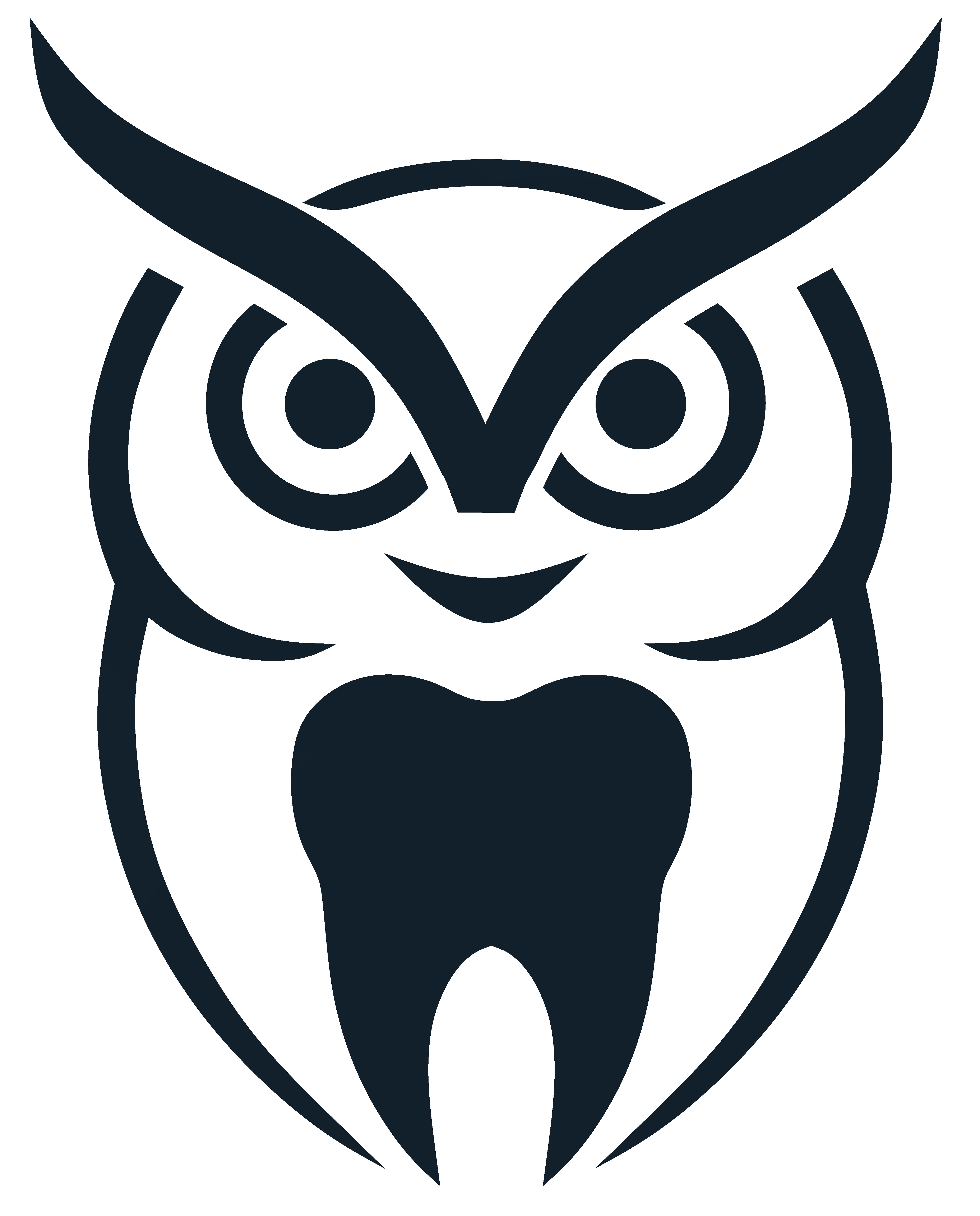 Silver Owl Logo